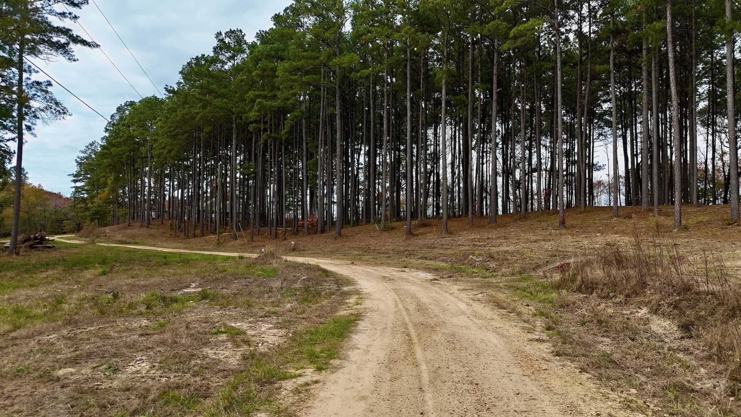 4 Bed 3 Bath Home on 45 Acres for Sale in Lasalle Parish