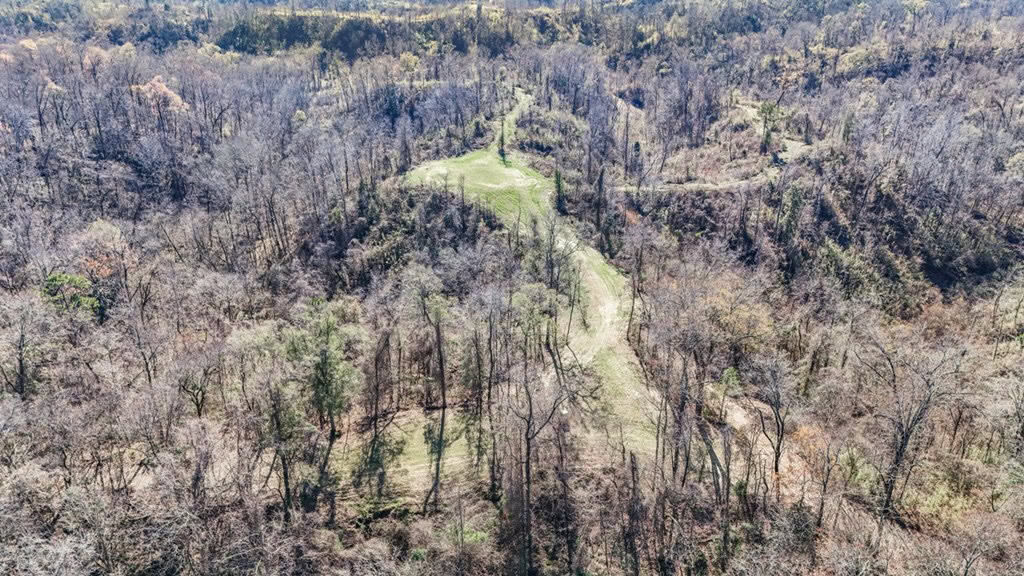 Hunting Land for Sale in The MS Delta