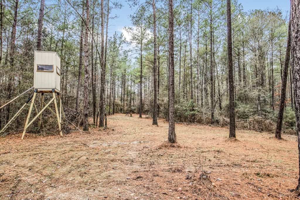 100 Acres in West Feliciana with 2 Bed/1 Bath Camp