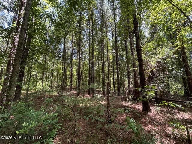 8± Acres in McCall Creek, MS with Creek Frontage