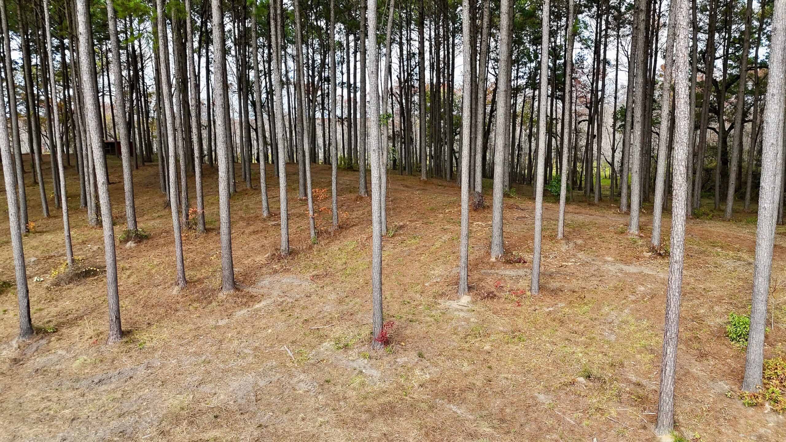 4 Bed 3 Bath Home on 45 Acres for Sale in Lasalle Parish