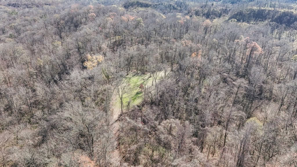 Hunting Land for Sale in The MS Delta