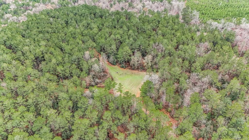 100 Acres in West Feliciana with 2 Bed/1 Bath Camp