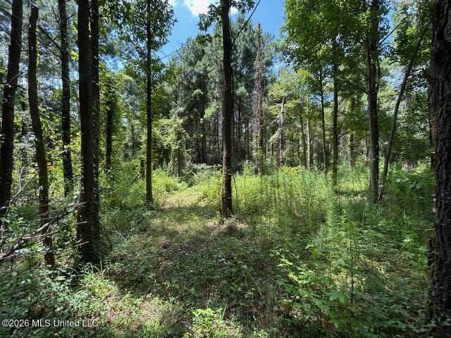 8± Acres in McCall Creek, MS with Creek Frontage
