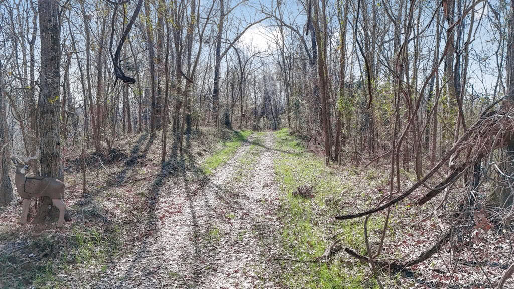 Hunting Land for Sale in The MS Delta