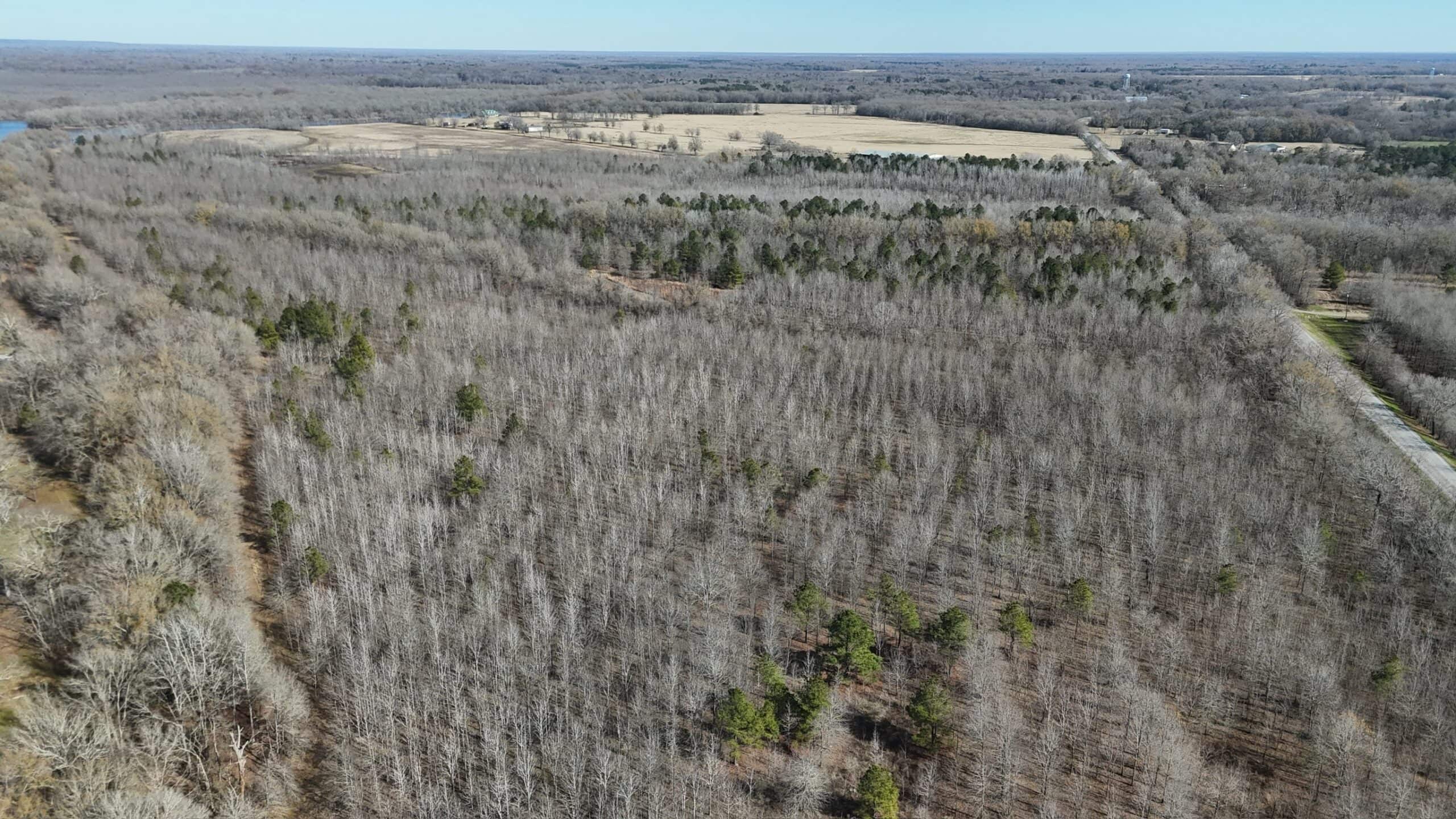 Duck and Deer Hunting Land with a Camp Spot for Sale