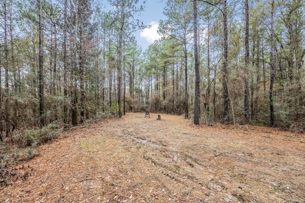 100 Acres in West Feliciana with 2 Bed/1 Bath Camp