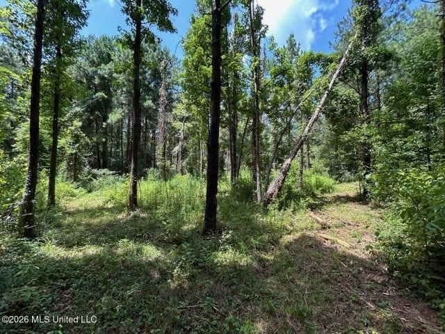 8± Acres in McCall Creek, MS with Creek Frontage