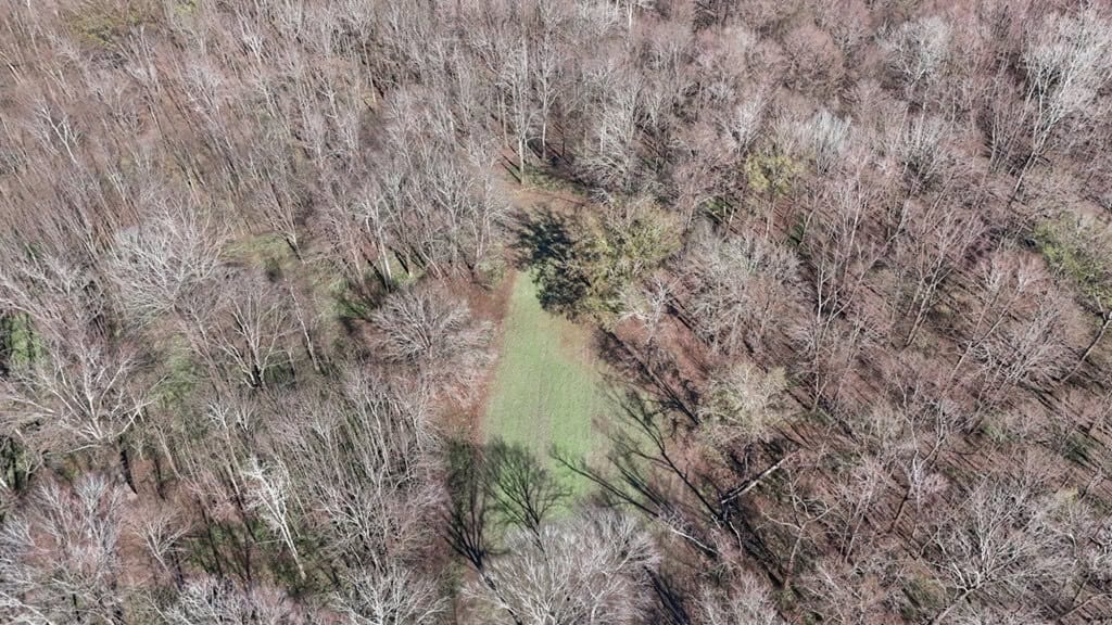 Hunting Land for Sale in The MS Delta