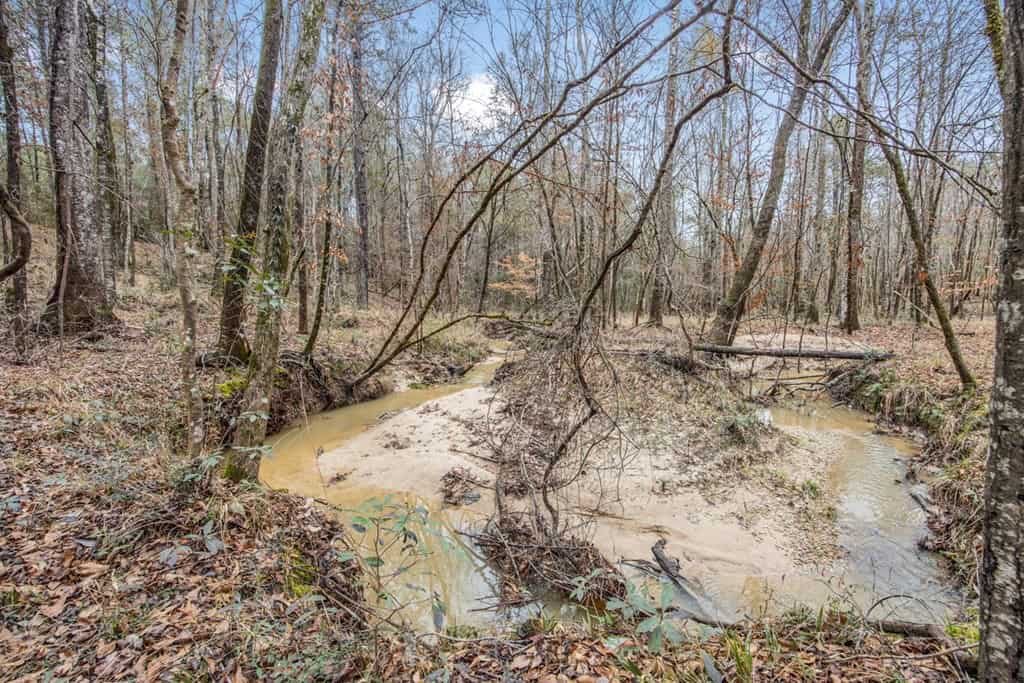100 Acres in West Feliciana with 2 Bed/1 Bath Camp