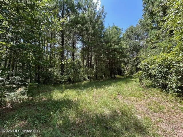 8± Acres in McCall Creek, MS with Creek Frontage
