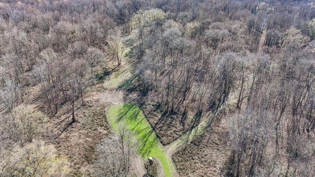 Hunting Land for Sale in The MS Delta