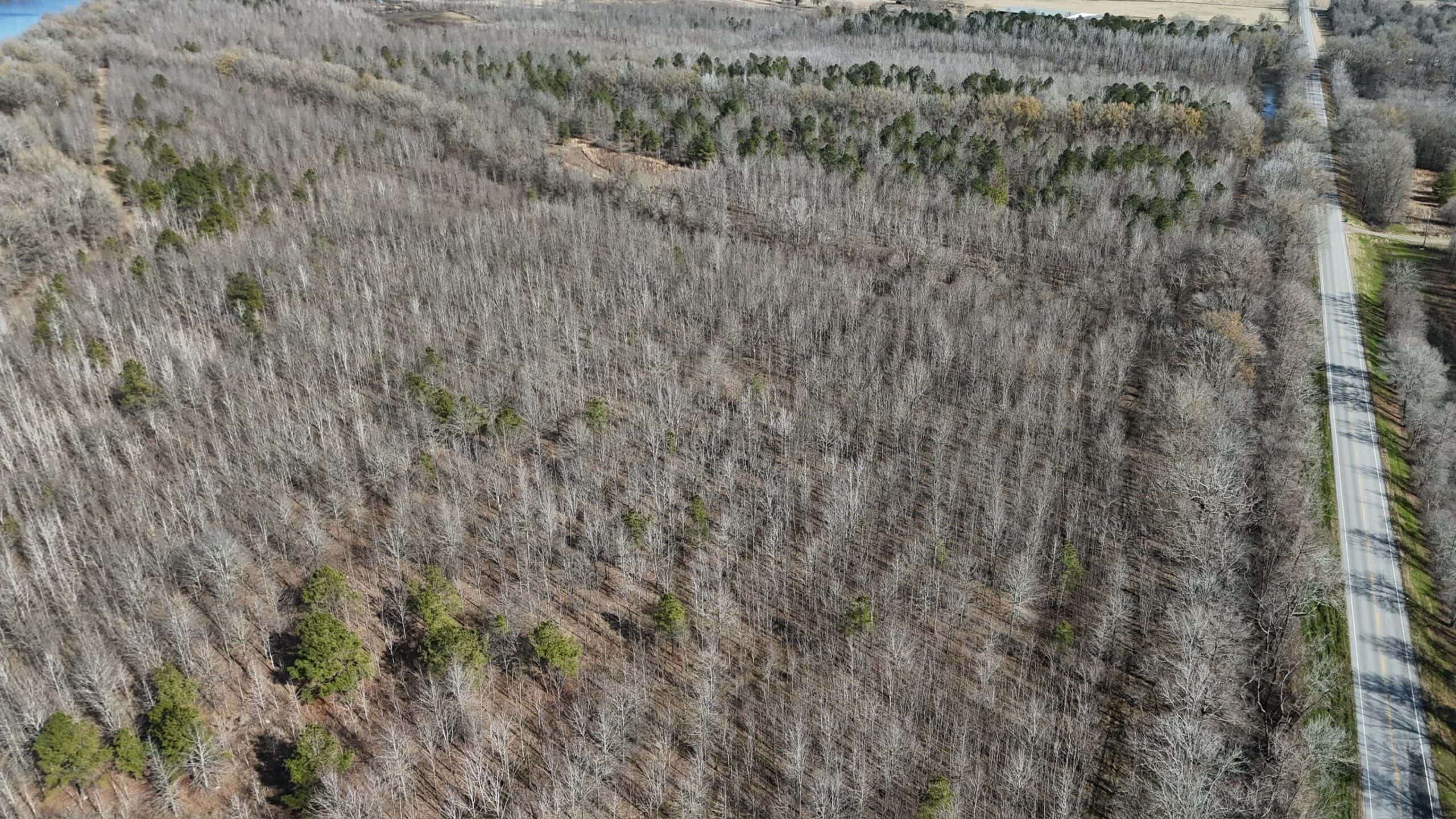 Duck and Deer Hunting Land with a Camp Spot for Sale