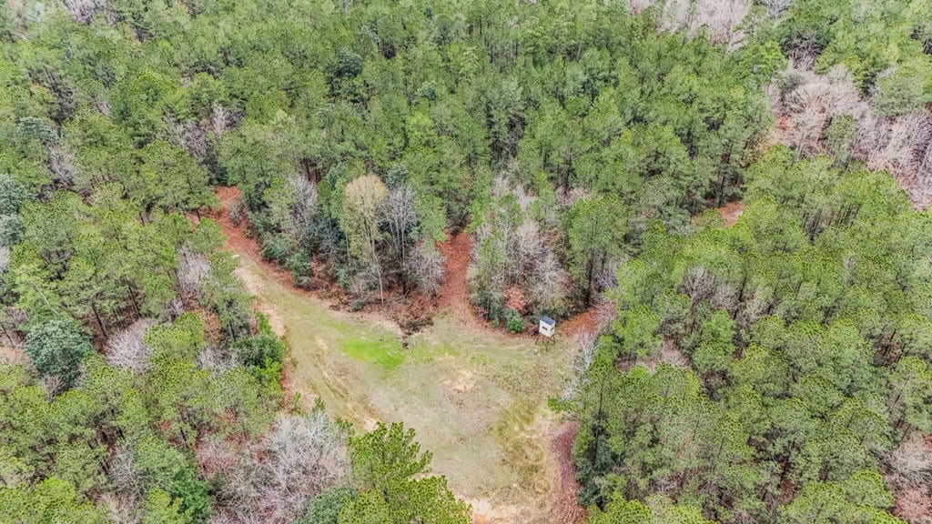 100 Acres in West Feliciana with 2 Bed/1 Bath Camp