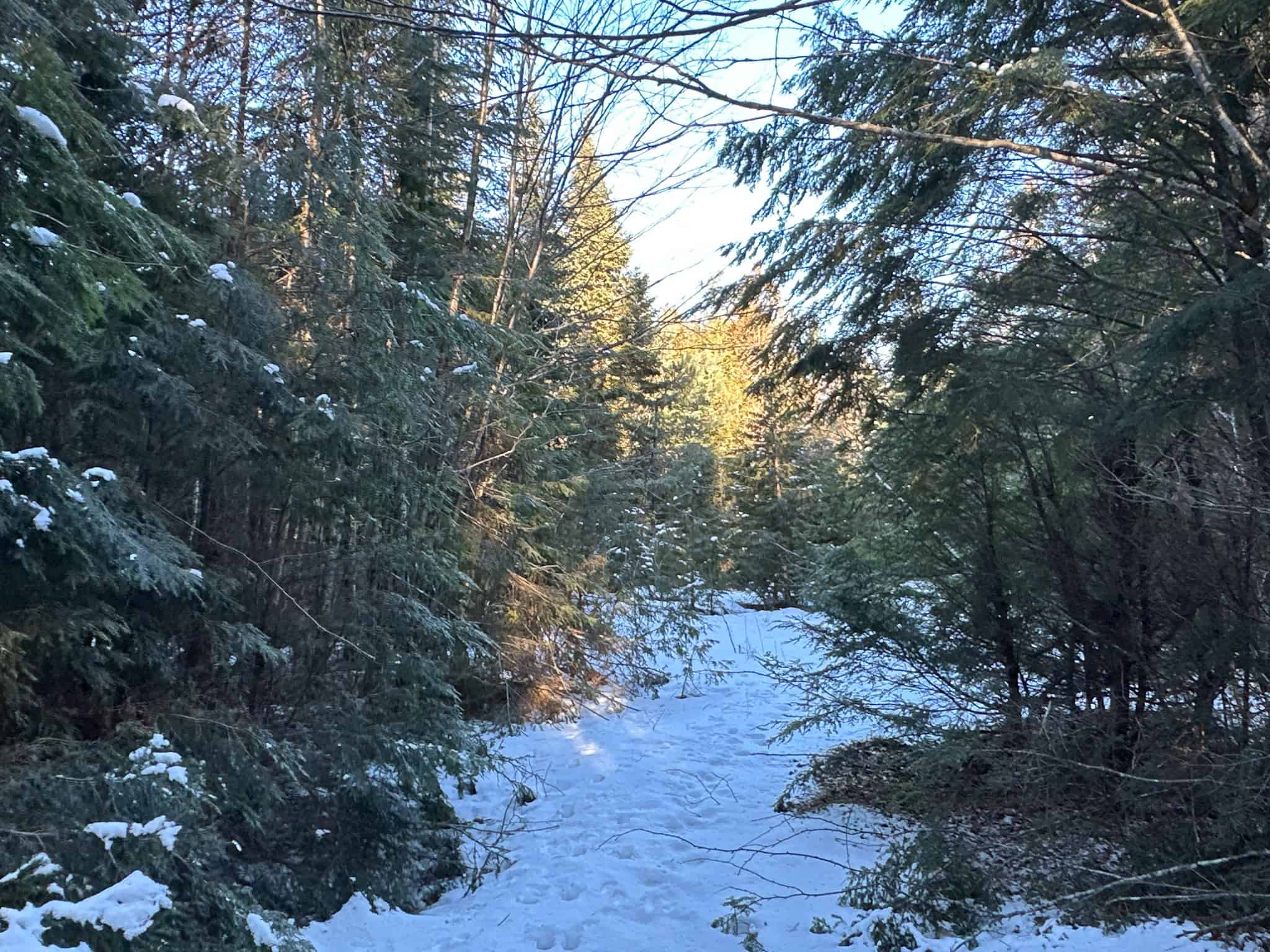 40 Acre Retreat Surrounded by The Downeast Lakes