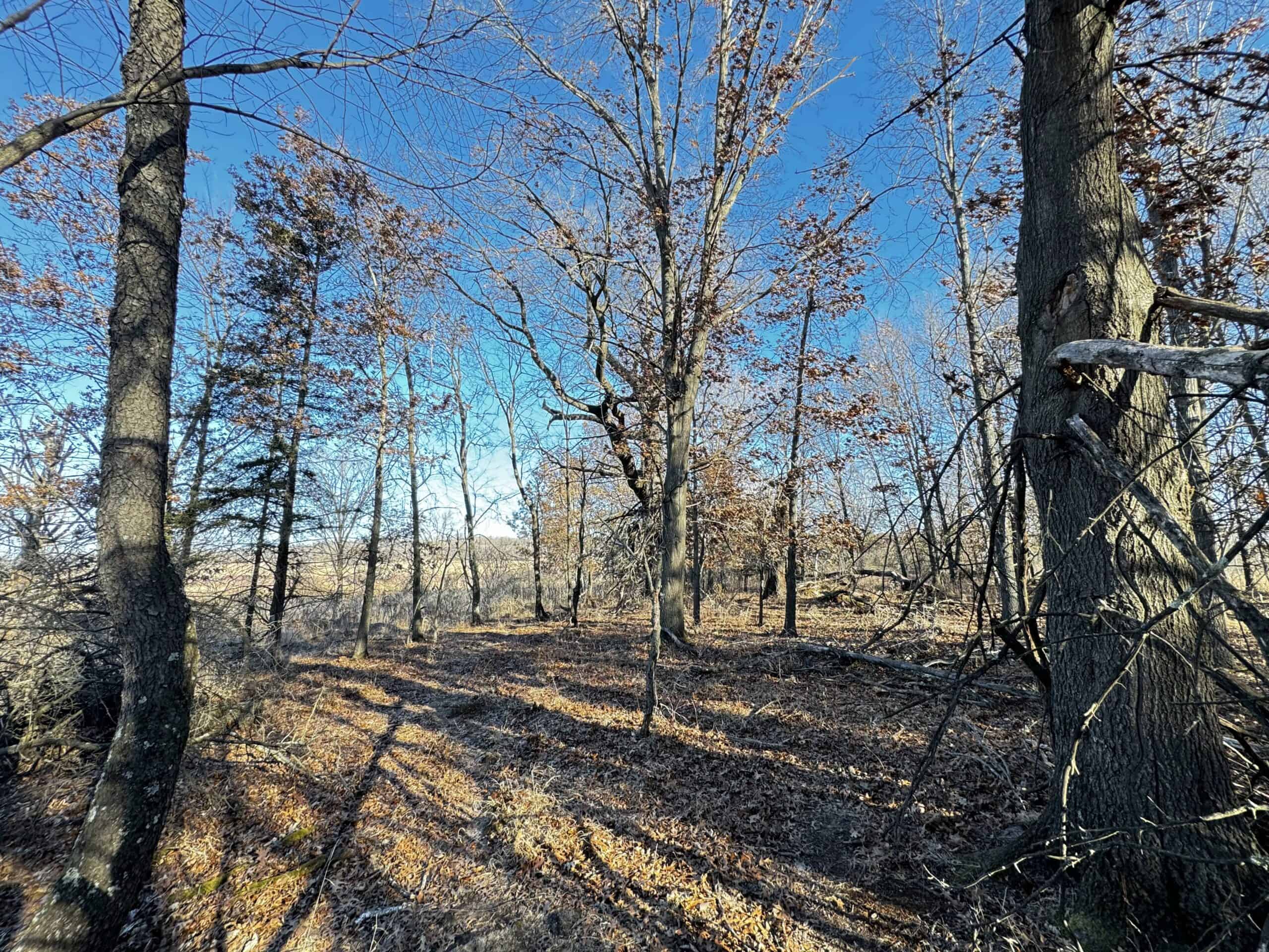 53 acre proven hunting property in Marquette County WI