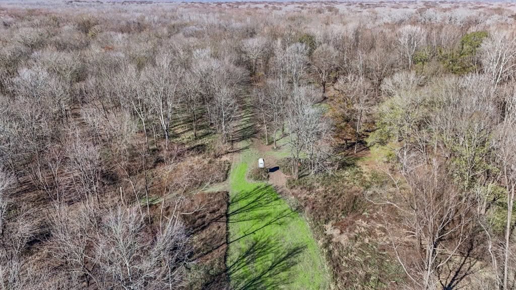 Hunting Land for Sale in The MS Delta