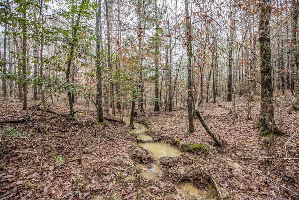 100 Acres in West Feliciana with 2 Bed/1 Bath Camp