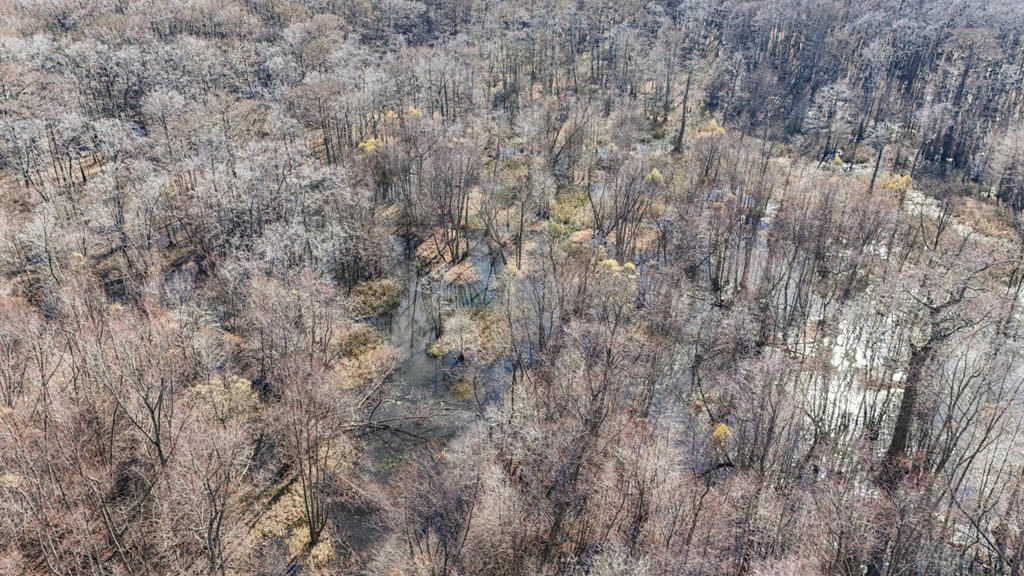 Hunting Land for Sale in The MS Delta
