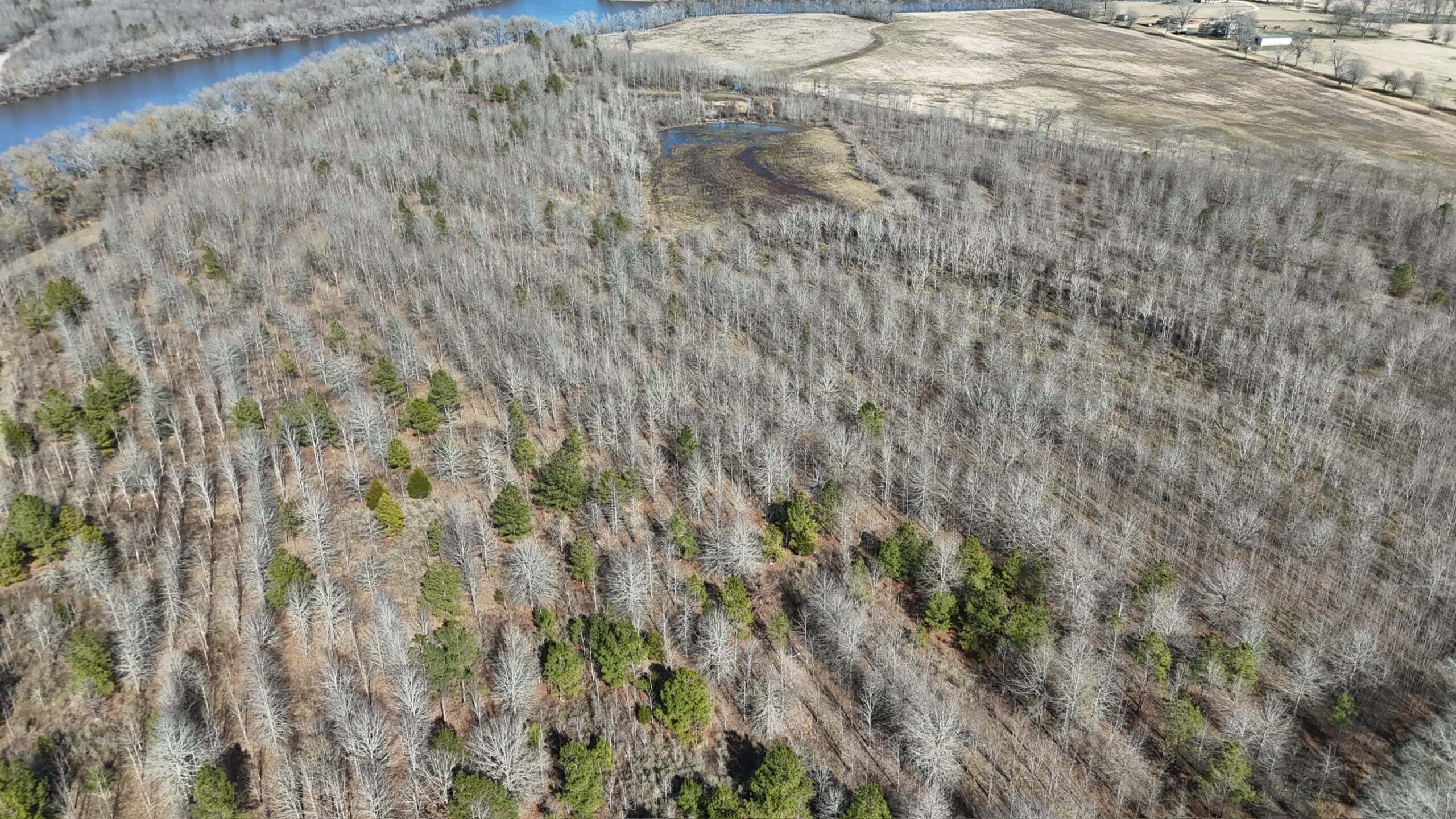 Duck and Deer Hunting Land with a Camp Spot for Sale