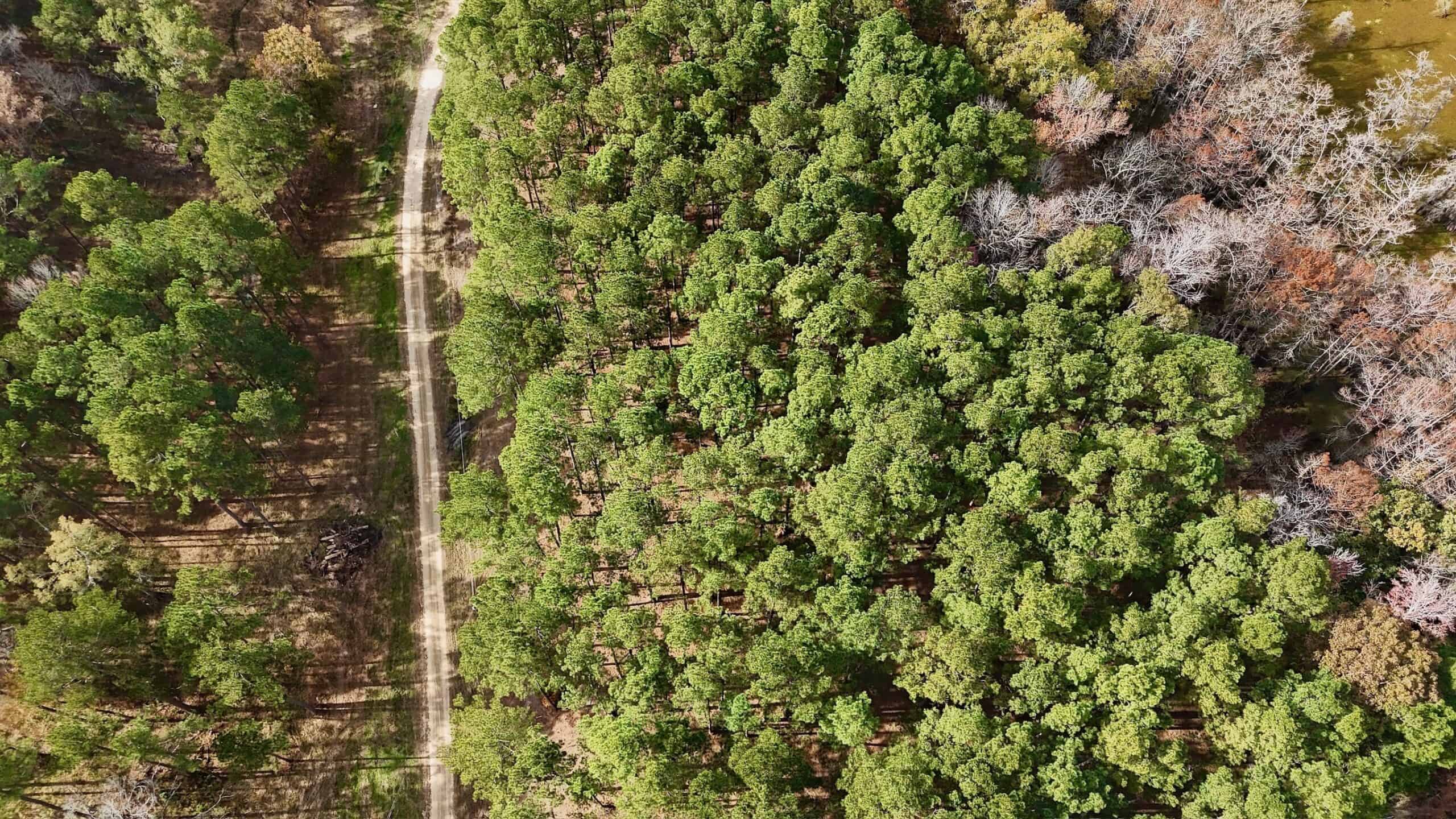 4 Bed 3 Bath Home on 45 Acres for Sale in Lasalle Parish