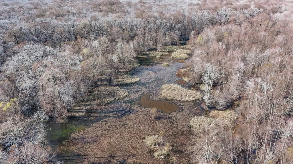 Hunting Land for Sale in The MS Delta