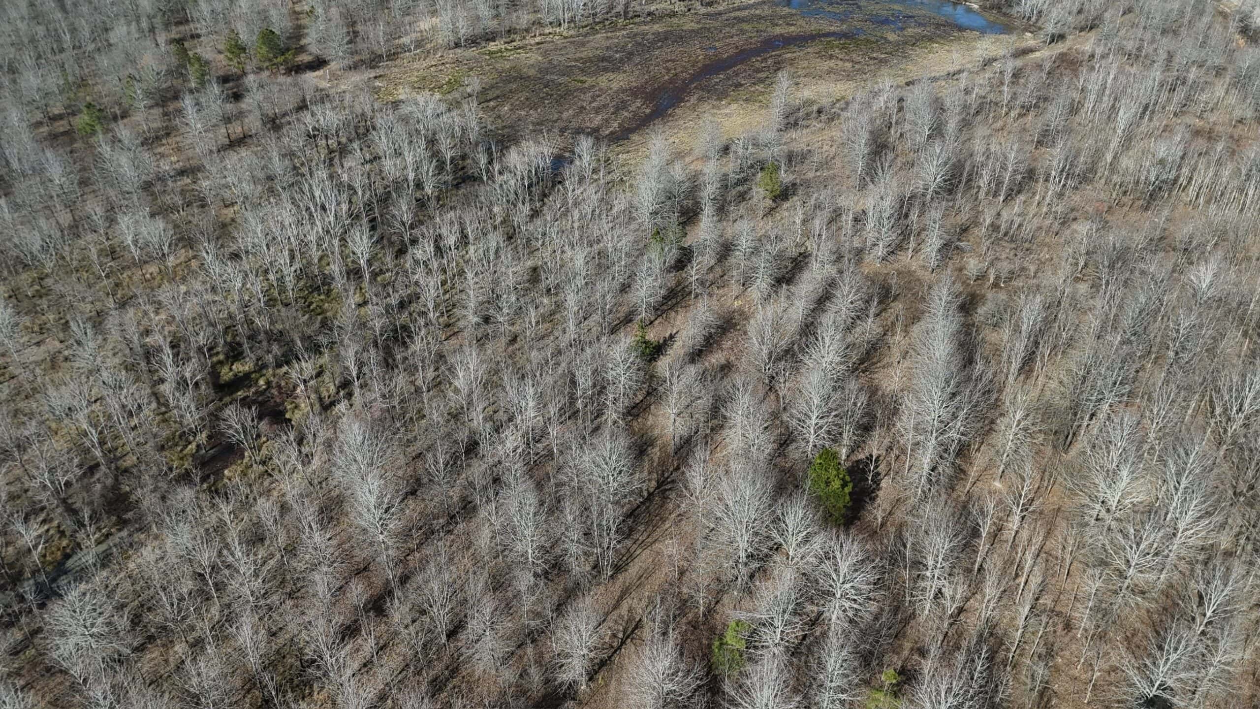 Duck and Deer Hunting Land with a Camp Spot for Sale