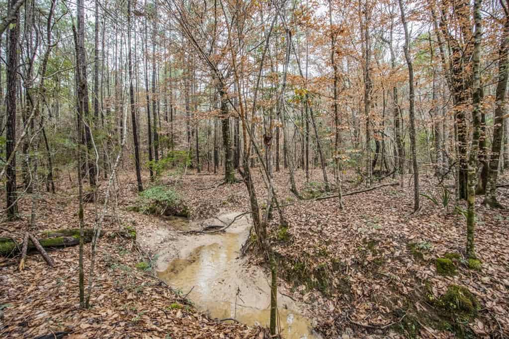 100 Acres in West Feliciana with 2 Bed/1 Bath Camp