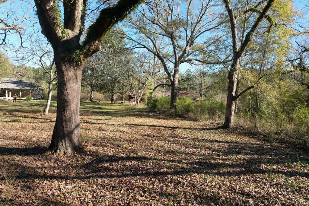 37.69 Acres Belt Line Drive NE Brookhaven Lincoln County Mississippi