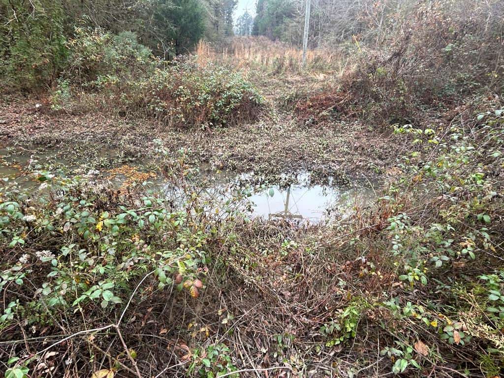 37.69 Acres Belt Line Drive NE Brookhaven Lincoln County Mississippi
