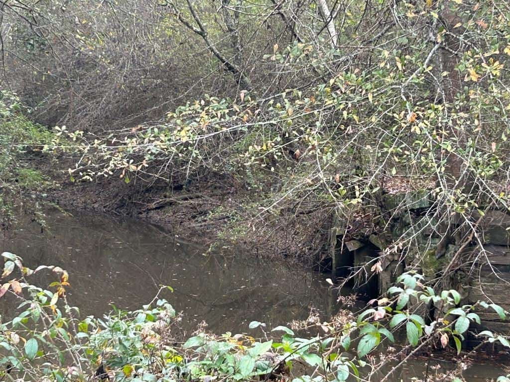 37.69 Acres Belt Line Drive NE Brookhaven Lincoln County Mississippi