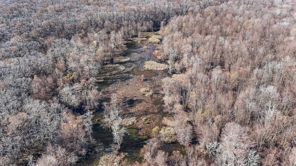 Hunting Land for Sale in The MS Delta