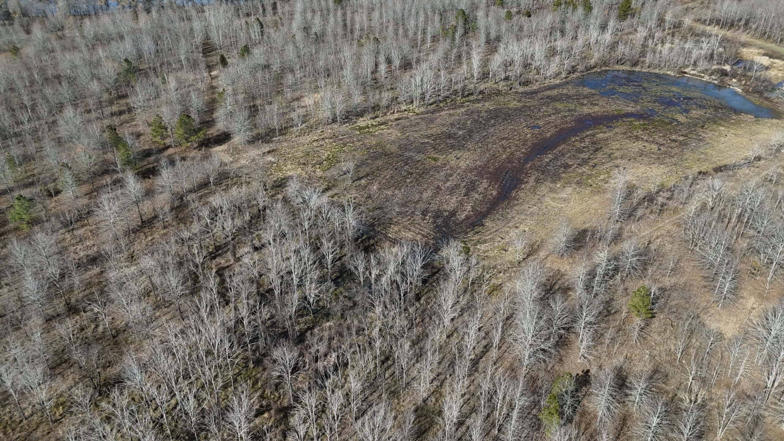 Duck and Deer Hunting Land with a Camp Spot for Sale