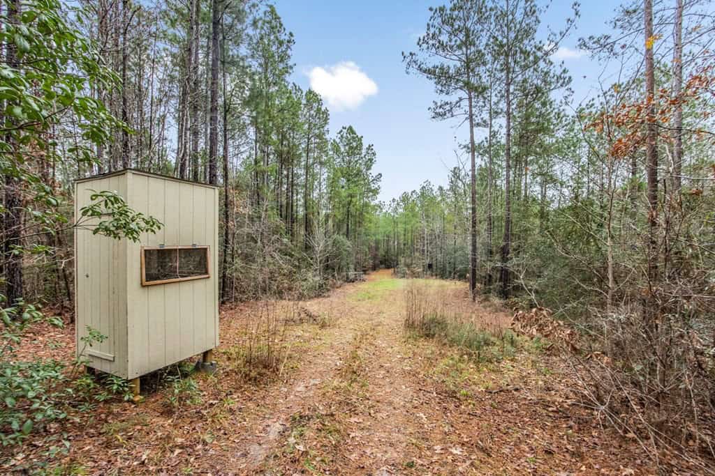 100 Acres in West Feliciana with 2 Bed/1 Bath Camp