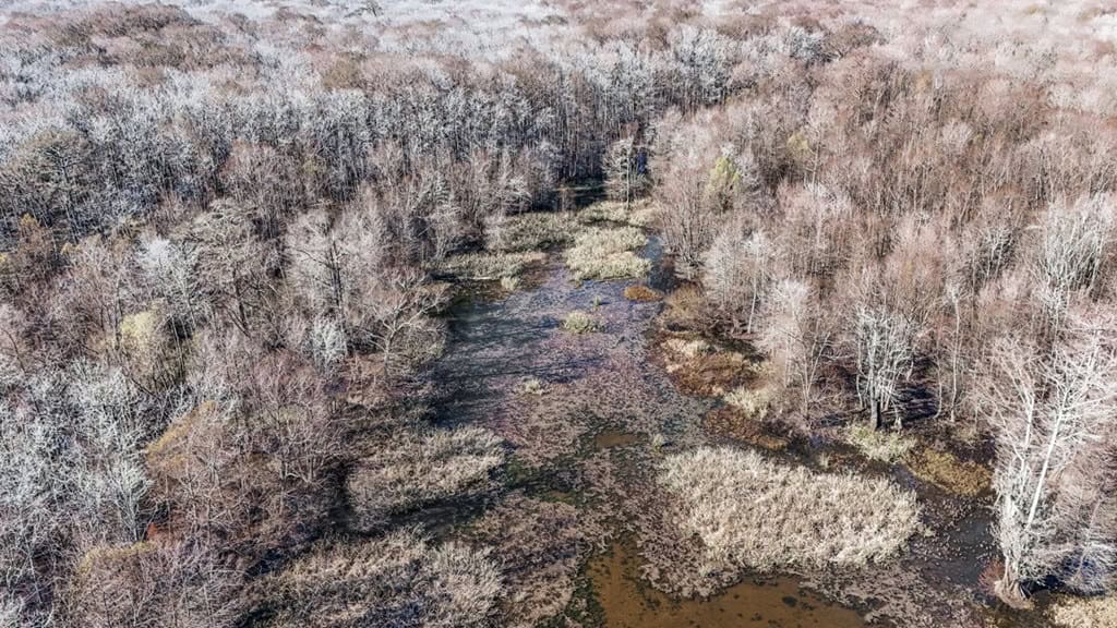 Hunting Land for Sale in The MS Delta