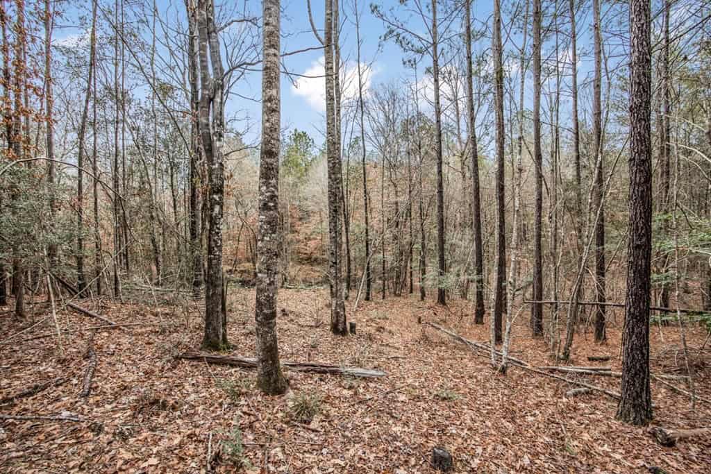100 Acres in West Feliciana with 2 Bed/1 Bath Camp