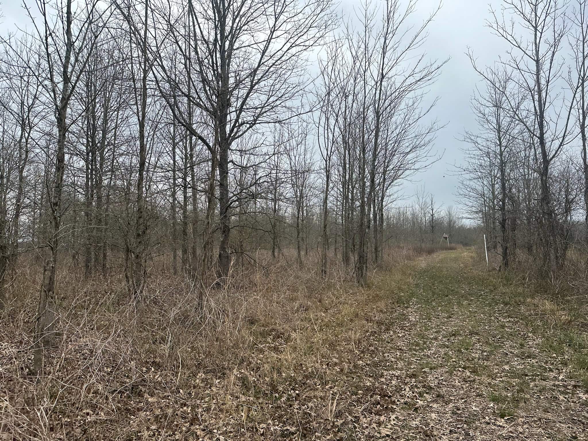 Duck and Deer Hunting Land with a Camp Spot for Sale