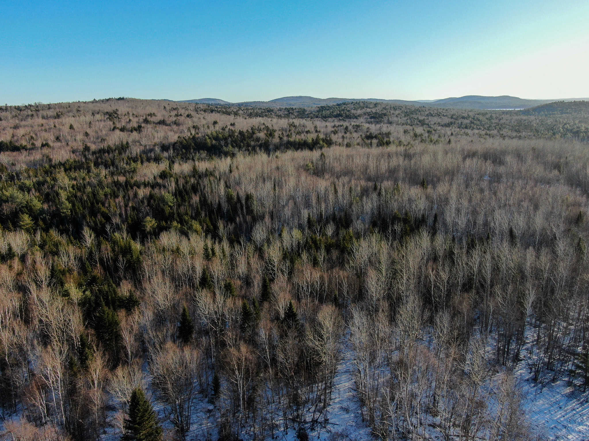 40 Acre Retreat Surrounded by The Downeast Lakes