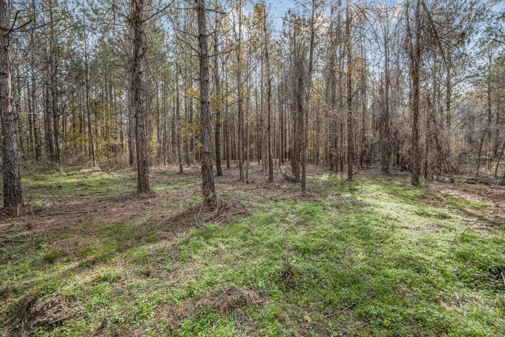 8+- Acres for Sale Just Outside of Brookhaven