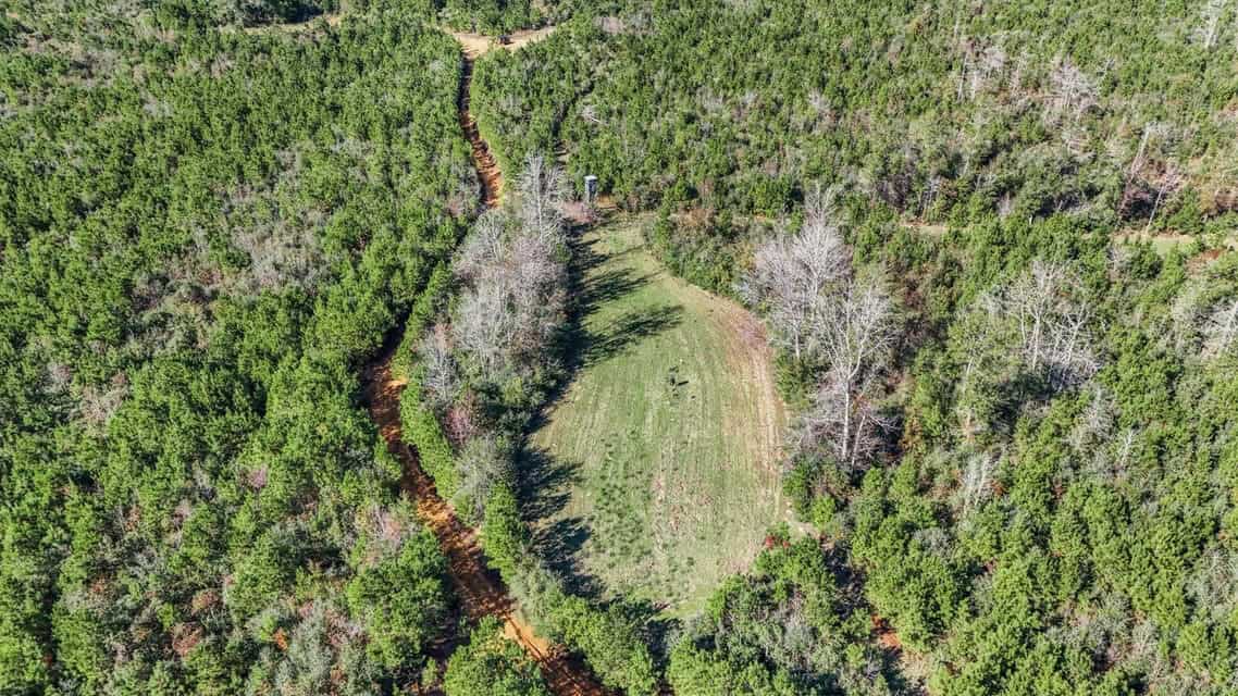 150 Acres For Sale Amite County – Will Divide