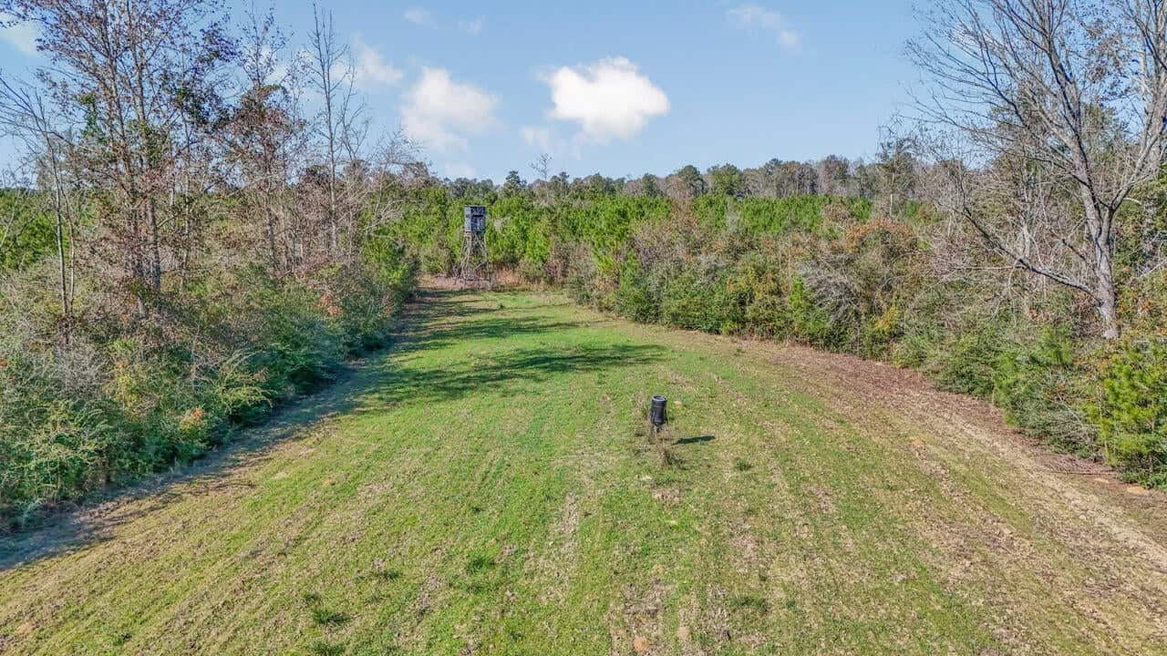 Hunting Land For Sale in Amite County MS