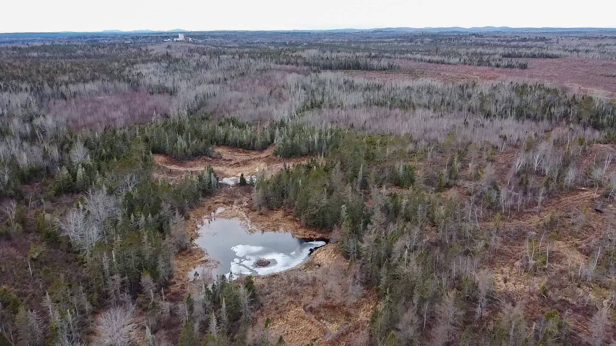 327± Acres with 3500 Feet of Brook Frontage