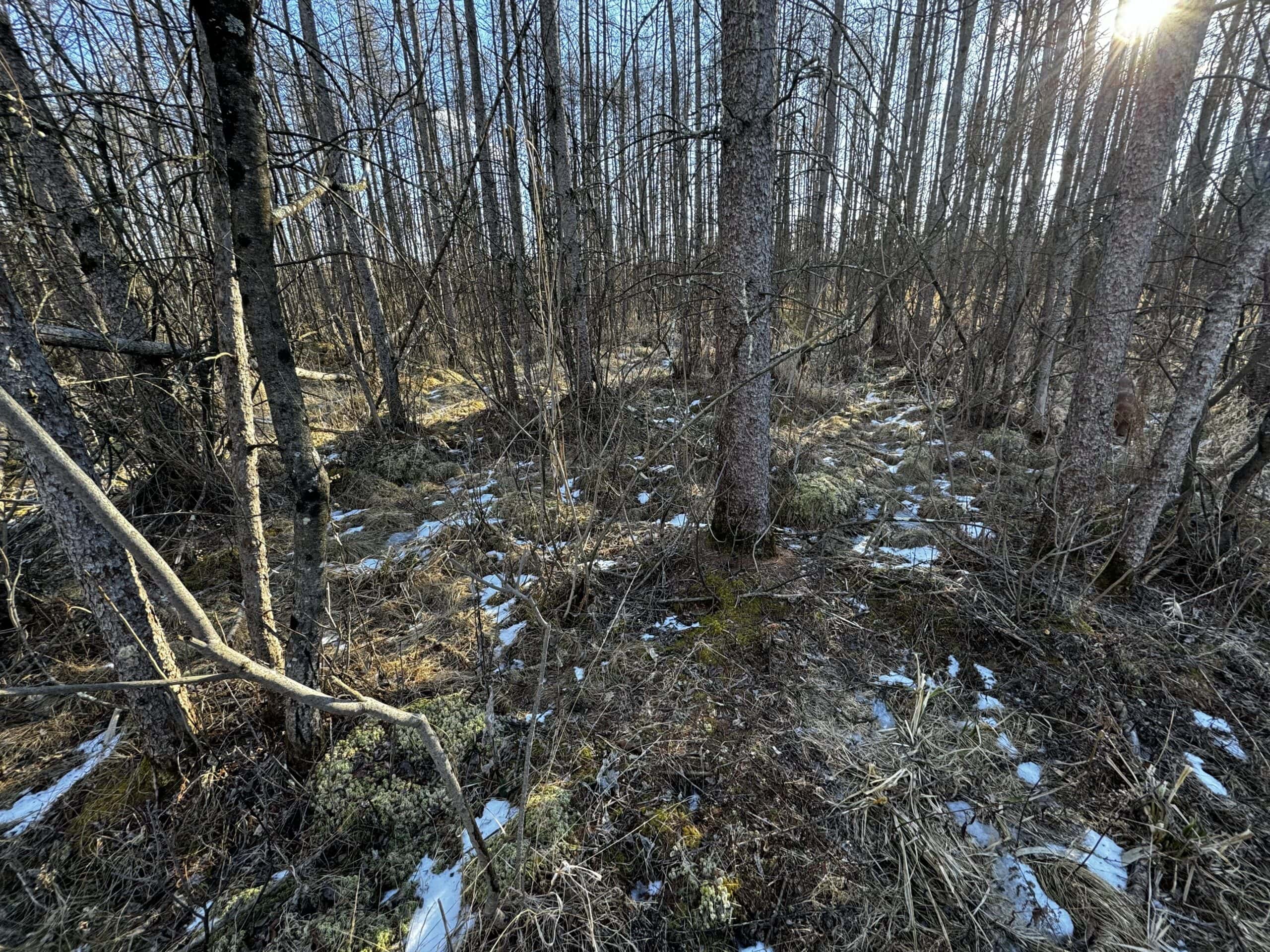 53 acre proven hunting property in Marquette County WI