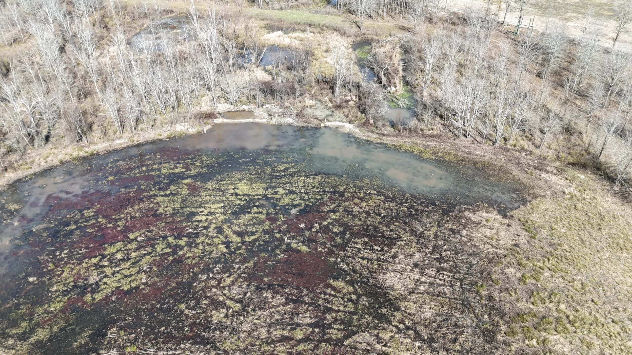 Duck and Deer Hunting Land with a Camp Spot for Sale