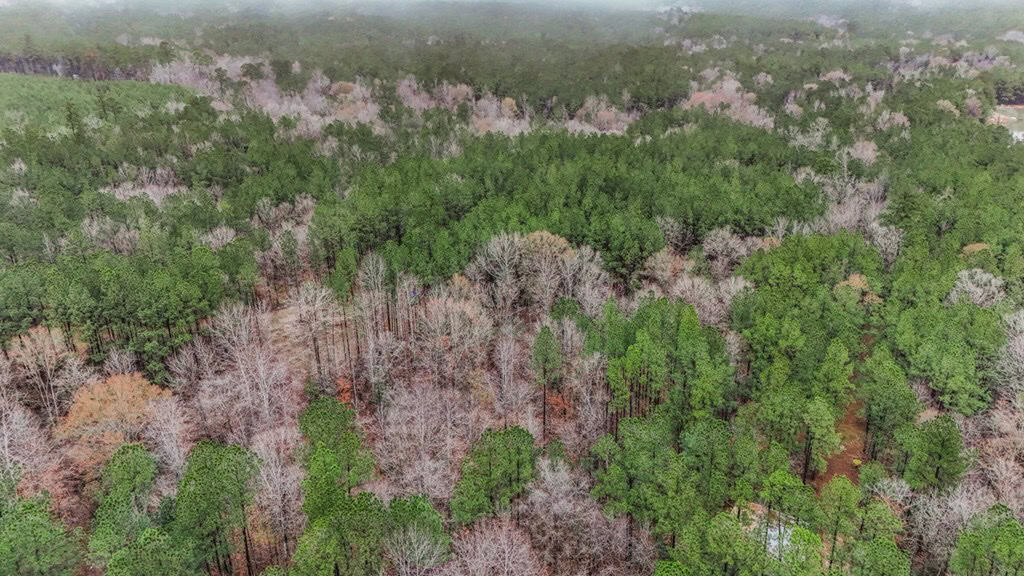 100 Acres in West Feliciana with 2 Bed/1 Bath Camp