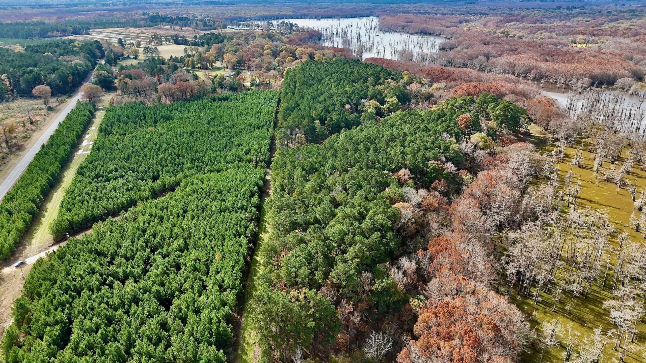 4 Bed 3 Bath House on 125 Acres for Sale In Lasalle Parish