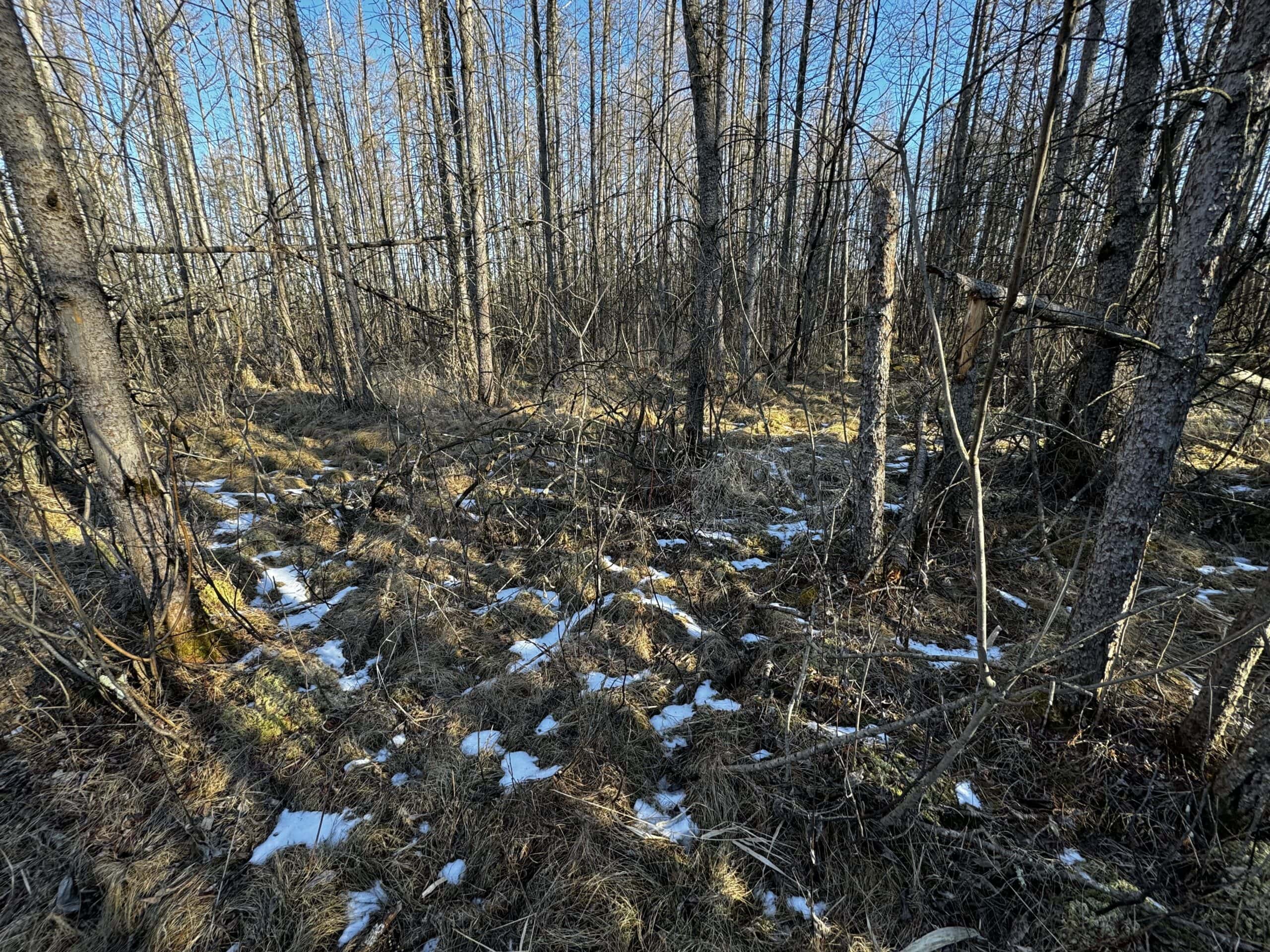 53 acre proven hunting property in Marquette County WI