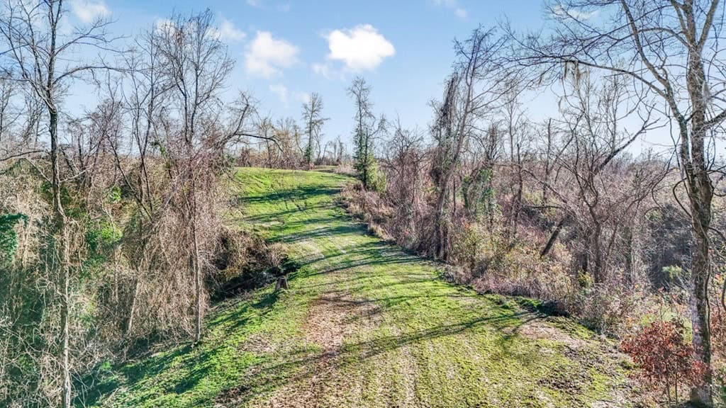 Hunting Land for Sale in The MS Delta