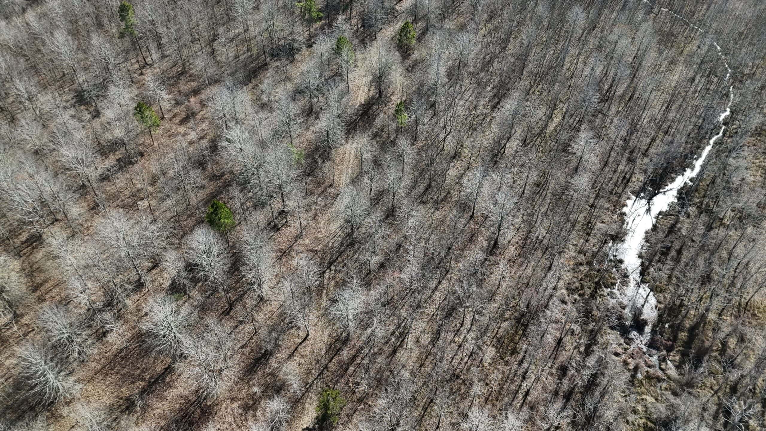 Duck and Deer Hunting Land with a Camp Spot for Sale