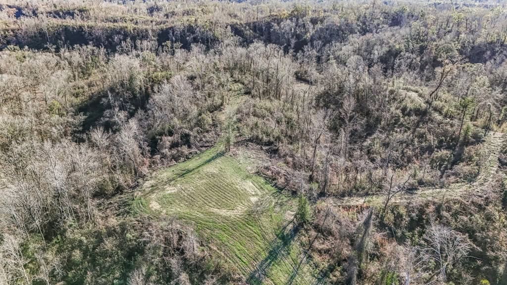 Hunting Land for Sale in The MS Delta